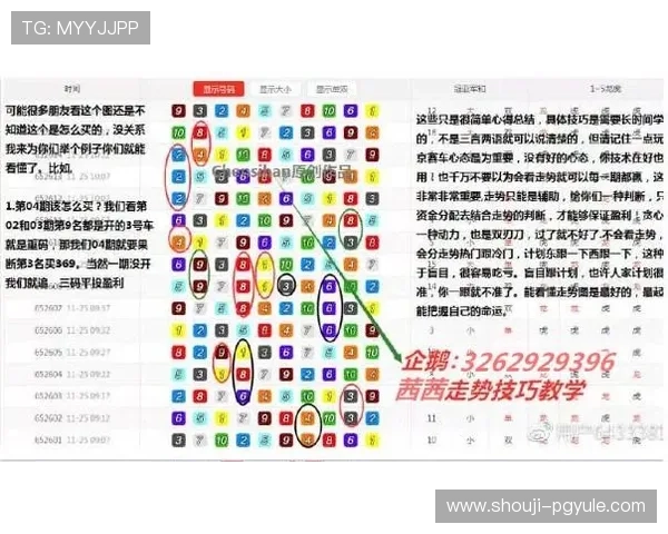 如何在pg电子游戏中稳赢：实用的资金管理和心理调节技巧详解